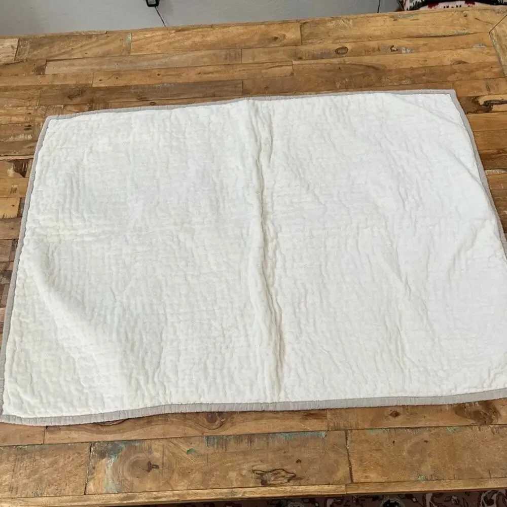 Avasa Home Dutch Euro Sham Ivory Quilted Velvet Linen